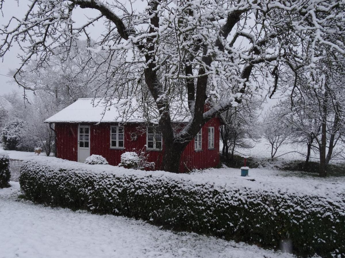 Hansenhof Kappeln Exterior photo